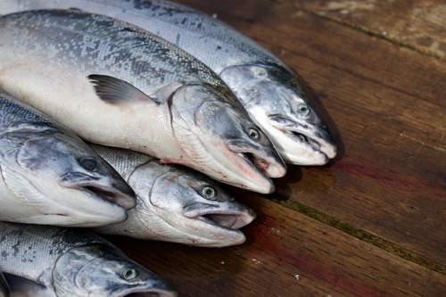 Preços do salmão norueguês continuam a descer